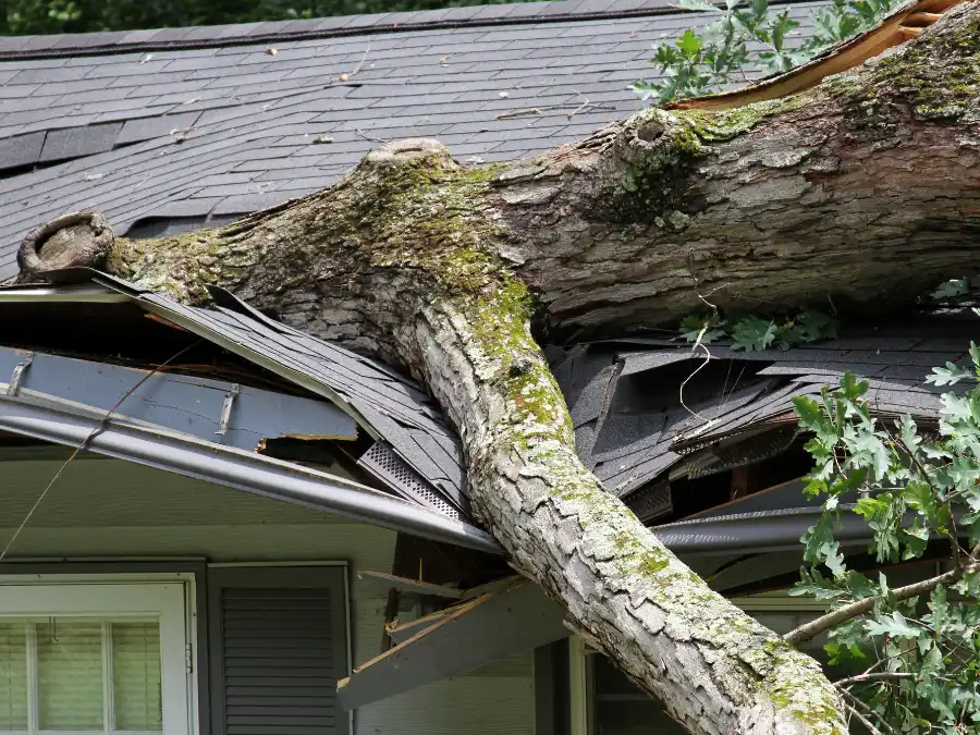 Identifying a Storm Damaged Roof