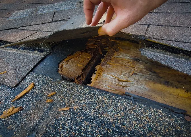 roof repairs clifton new jersey