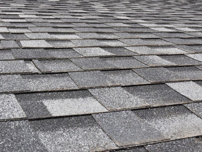 shingles roof company