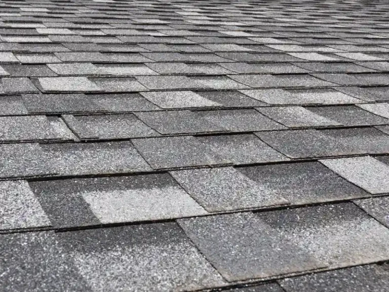 shingles roof company
