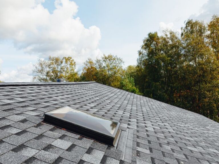 skylight repair company